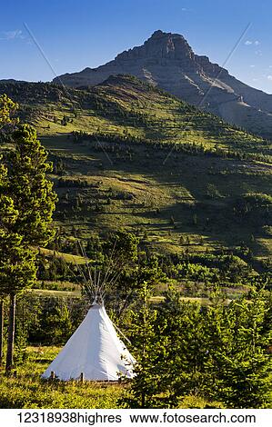 Stock Photograph - Large white canvas teepee in a treed field with green hillside and mountain peak in the background; Waterton, Alberta, Canada. Fotosearch