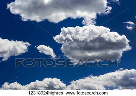 Large white fluffy clouds highlighted with deep blue sky; Calgary, Alberta, Canada View Large Photo Image Stock Photograph - Large white fluffy clouds highlighted with deep blue sky; Calgary, Alberta, Canada. Fotosearch
