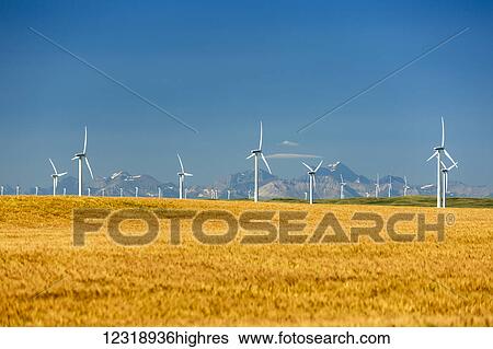 Stock Photograph - Large wind mills in a golden wheat field with mountain range in the background and blue sky, North of Glenwood; Alberta, Canada. Fotosearch