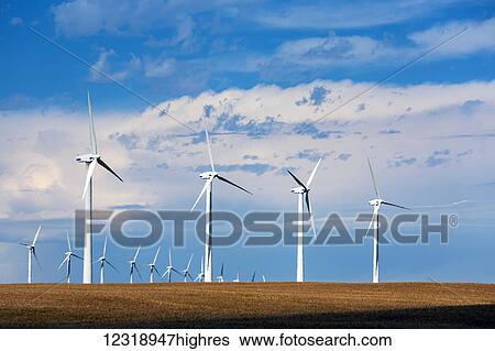 Stock Photograph - Large wind mills in a golden wheat field with blue sky and clouds, North of Glenwood; Alberta, Canada. Fotosearch