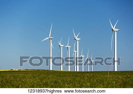 Large wind mills in a green field with blue sky, North of Glenwood; Alberta, Canada View Large Photo Image Stock Photograph - Large wind mills in a green field with blue sky, North of Glenwood; Alberta, Canada. Fotosearch