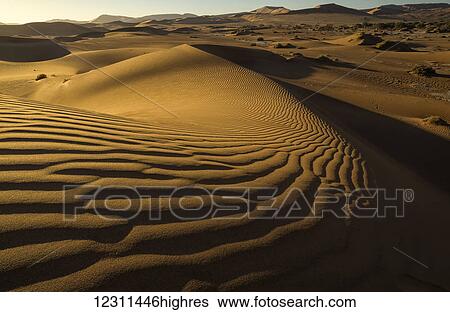 Stock Photograph - Late day light illuminate the large, red sand dunes in Sossusvlei which is part of the Namib desert; Namibia. Fotosearch