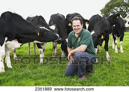 Livestock - A dairy producer poses on a green pasture with his herd of Holstein dairy cows close-by / England, United Kingdom. View Large Photo Image Stock Photo - Livestock - A dairy producer poses on a green pasture with his herd of Holstein dairy cows close-by / England, United Kingdom.. Fotosearch