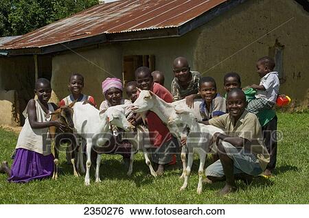 Stock Photograph - Livestock - African villagers with goats outside a building in their village / Kenya, Africa.. Fotosearch