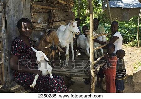 Stock Photography - Livestock - An African family poses in front of their hut with their brown and white goats / Kenya, Africa.. Fotosearch