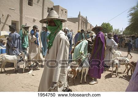 Stock Image - Livestock for sale at Monday Market in Djenne, Mali. Fotosearch