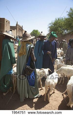 Livestock for sale at Monday Market in Djenne, Mali View Large Photo Image Stock Image - Livestock for sale at Monday Market in Djenne, Mali. Fotosearch