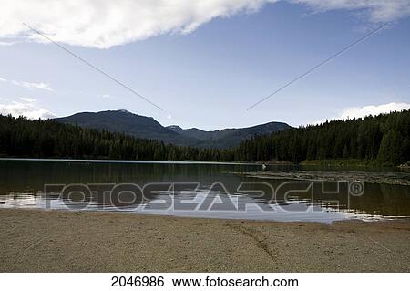 Lost Lake Trails Whistler, British Columbia View Large Photo Image Stock Photograph - Lost Lake Trails Whistler, British Columbia. Fotosearch