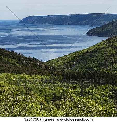 Stock Photograph - Lush forests along the coastline; Pleasant Bay, Nova Scotia, Canada. Fotosearch