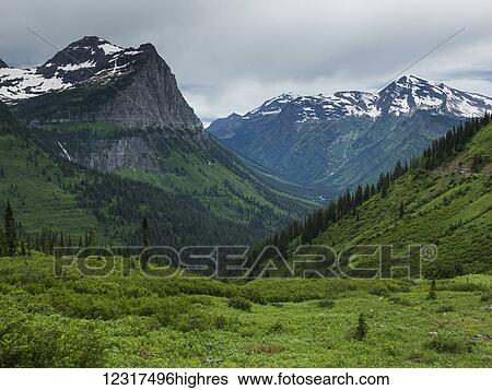 Stock Photograph - Lush green foliage and rugged mountains in Glacier National Park; Montana, United States of America. Fotosearch
