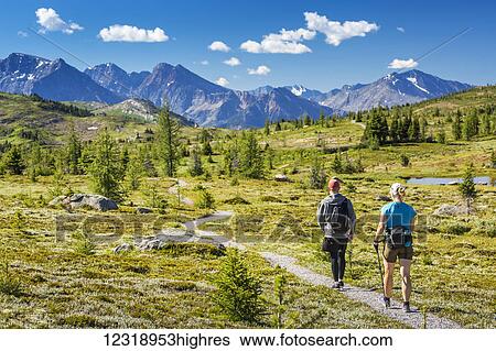 Stock Photograph - Male and female hiker walking along a meadow trail with mountain range in the distance with blue sky and clouds; Banff, Alberta, Canada. Fotosearch