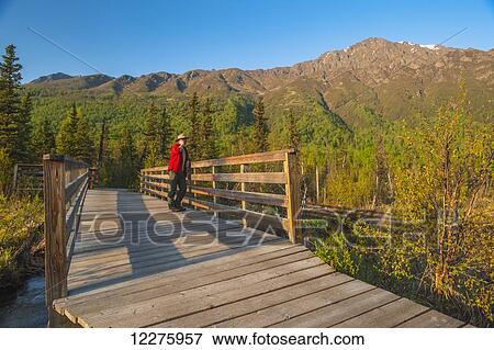 Stock Photo - Male visitor talking on a cell phone while on a foot bridge in the Eagle River Valley, Chugach State Park, Southcentral Alaska, Summer. Fotosearch