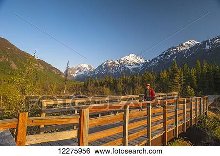Male visitor walking on a foot bridge on a walk in the Eagle River Valley, Chugach State Park, Southcentral Alaska, Summer View Large Photo Image Stock Photograph - Male visitor walking on a foot bridge on a walk in the Eagle River Valley, Chugach State Park, Southcentral Alaska, Summer. Fotosearch