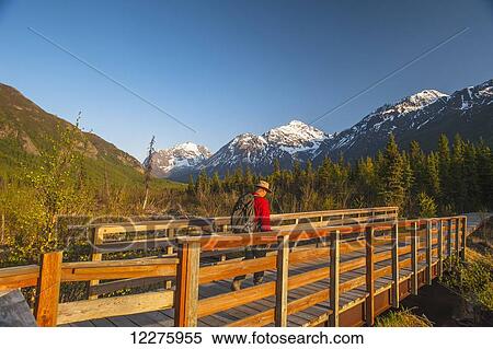 Stock Photography - Male visitor walking on a foot bridge on a walk in the Eagle River Valley, Chugach State Park, Southcentral Alaska, Summer. Fotosearch