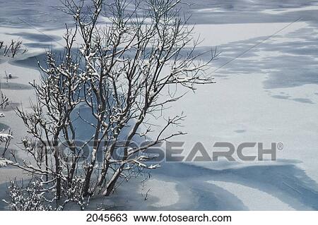 Stock Image - Maligne River, Jasper National Park, Alberta Canada.. Fotosearch
