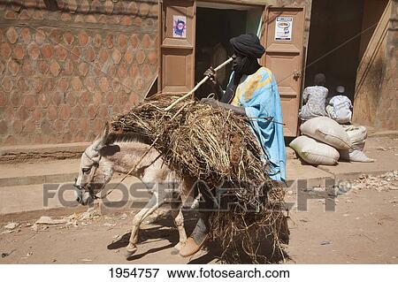 Man and donkey laden with hay at the Monday Market, Djenne, Mali View Large Photo Image Stock Photo - Man and donkey laden with hay at the Monday Market, Djenne, Mali. Fotosearch