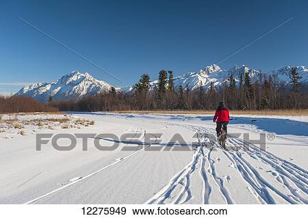 Man bicycling on frozen Rabbit Creek in the Palmer Haystack Game Refuge with Twin Peaks in the background, Southcentral Alaska, winter View Large Photo Image Stock Photo - Man bicycling on frozen Rabbit Creek in the Palmer Haystack Game Refuge with Twin Peaks in the background, Southcentral Alaska, winter. Fotosearch