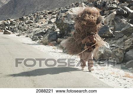 Man Carrying Hay On His Back, Kiris, Northern Areas, Pakistan View Large Photo Image Stock Image - Man Carrying Hay On His Back, Kiris, Northern Areas, Pakistan. Fotosearch