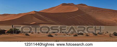 Man photographing the red sand dunes of Sossusvlei; Namibia View Large Photo Image Stock Photograph - Man photographing the red sand dunes of Sossusvlei; Namibia. Fotosearch