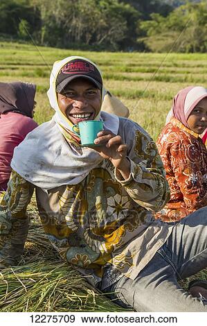Stock Photo - Man taking a break during a rice harvest, Flores Island, East Nusa Tenggara, Indonesia. Fotosearch