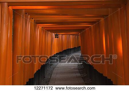 Many tori gates at Fushimi Inari; Kyoto, Japan View Large Photo Image Stock Image - Many tori gates at Fushimi Inari; Kyoto, Japan. Fotosearch