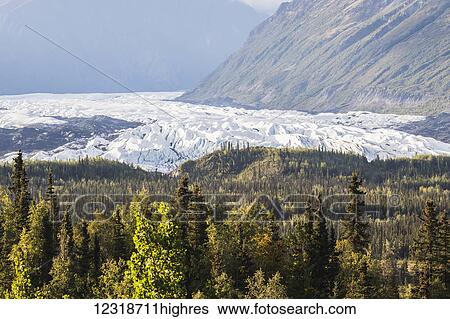 Matanuska Glacier viewed from Glenn Highway near Sheep Mountain, colourful summer foliage surrounding the glacier; Alaska, United States of America View Large Photo Image Stock Photograph - Matanuska Glacier viewed from Glenn Highway near Sheep Mountain, colourful summer foliage surrounding the glacier; Alaska, United States of America. Fotosearch