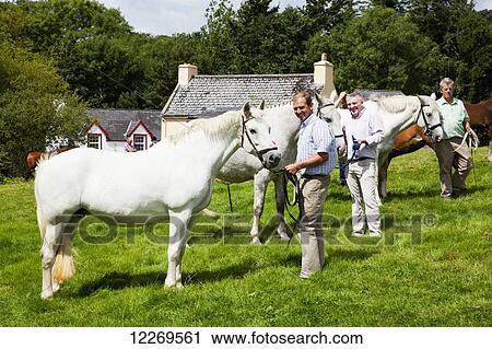 Men standing with their white horses on the grass for the horse show; Kilgarvan, County Kerry, Ireland View Large Photo Image Stock Image - Men standing with their white horses on the grass for the horse show; Kilgarvan, County Kerry, Ireland. Fotosearch