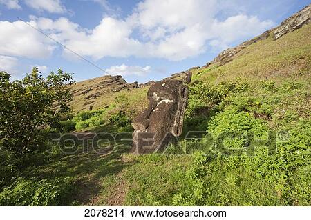 Picture - Moai By The Quarry In The Crater Of Rano Raraku Volcano, Rapa Nui (Easter Island), Chile. Fotosearch