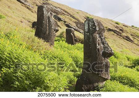 Stock Image - Moai By The Quarry In The Crater Of Rano Raraku Volcano, Rapa Nui (Easter Island), Chile. Fotosearch