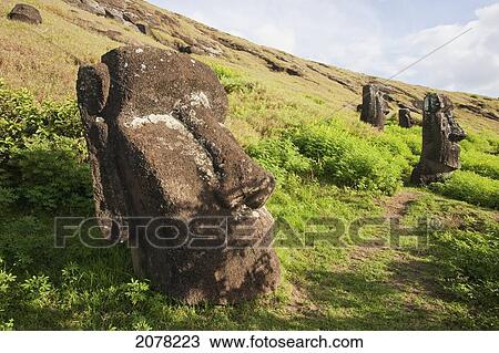 Moai By The Quarry In The Crater Of Rano Raraku Volcano, Rapa Nui (Easter Island), Chile View Large Photo Image Stock Image - Moai By The Quarry In The Crater Of Rano Raraku Volcano, Rapa Nui (Easter Island), Chile. Fotosearch