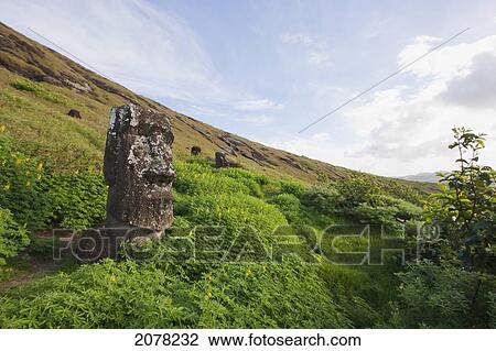 Stock Image - Moai By The Quarry In The Crater Of Rano Raraku Volcano, Rapa Nui (Easter Island), Chile. Fotosearch