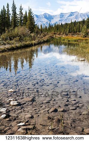 Mountains and trees reflected in tranquil, clear water, Clearwater County; Alberta, Canada View Large Photo Image Stock Photograph - Mountains and trees reflected in tranquil, clear water, Clearwater County; Alberta, Canada. Fotosearch