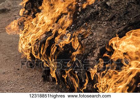 Stock Photograph - Natural gas fire which blazes continuously on a hillside, Yanar Dag, Absheron Peninsula; Baku, Azerbaijan. Fotosearch