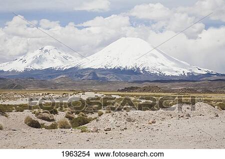 Nevados De Payachata (Pomerape Volcano And Parinacota Volcano), Lauca National Park, Arica And Parinacota Region, Chile View Large Photo Image Picture - Nevados De Payachata (Pomerape Volcano And Parinacota Volcano), Lauca National Park, Arica And Parinacota Region, Chile. Fotosearch