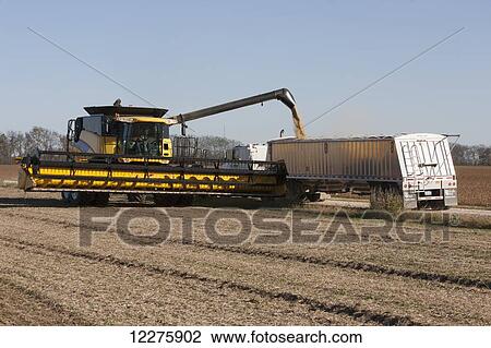 Stock Image - New Holland CR9060 Combine harvesting soybeans; Dyersville, Tennessee, United States of America. Fotosearch