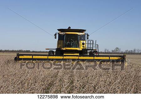 Stock Photo - New Holland CR9060 Combine harvesting soybeans; Dyersville, Tennessee, United States of America. Fotosearch
