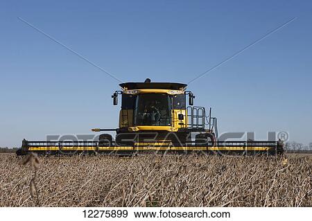 Stock Photo - New Holland CR9060 Combine harvesting soybeans; Dyersville, Tennessee, United States of America. Fotosearch