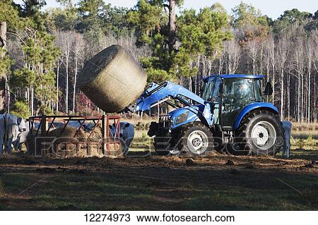 New Holland T4. 75 Tractor transporting round bale for feeding; Georgia, United States of America View Large Photo Image Stock Image - New Holland T4. 75 Tractor transporting round bale for feeding; Georgia, United States of America. Fotosearch