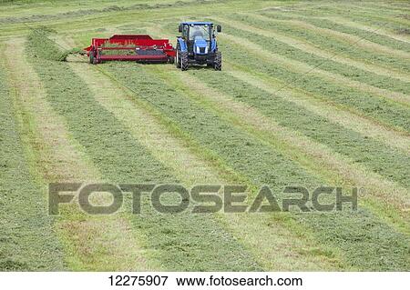 New Holland t5040 with H5430 windrow merger; New Holland, Pennsylvania, United States of America View Large Photo Image Stock Photo - New Holland t5040 with H5430 windrow merger; New Holland, Pennsylvania, United States of America. Fotosearch