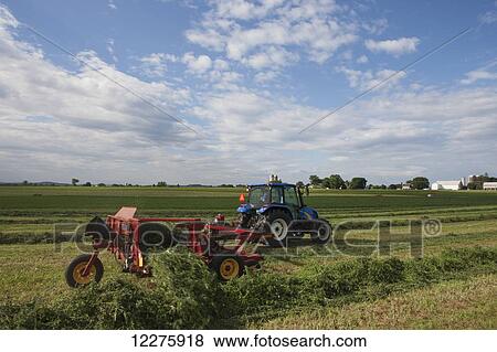 New Holland t5040 with H5430 windrow merger; New Holland, Pennsylvania, United States of America View Large Photo Image Stock Photo - New Holland t5040 with H5430 windrow merger; New Holland, Pennsylvania, United States of America. Fotosearch