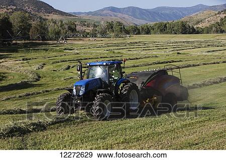 Stock Photo - New Holland T7 Tractor with BB340 large square baler baling alfalfa mix in a river bottom; Preston, Idaho, United States of America. Fotosearch