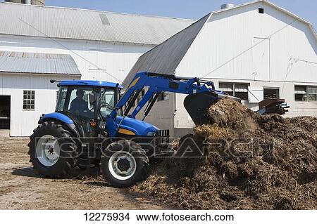 New Holland TD5030 Tractor cleaning out pen; New Holland, Pennsylvania, United States of America View Large Photo Image Picture - New Holland TD5030 Tractor cleaning out pen; New Holland, Pennsylvania, United States of America. Fotosearch