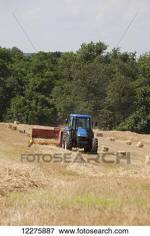 New Holland TD5050 with BC5070 square baler baling wheat straw for bedding; Lititz, Pennsylvania, United States of America View Large Photo Image Stock Photo - New Holland TD5050 with BC5070 square baler baling wheat straw for bedding; Lititz, Pennsylvania, United States of America. Fotosearch