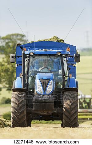 Stock Photograph - New Holland tractor with big trailer full of new cut grass to make silage; Cumbria, England. Fotosearch