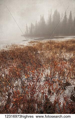 Stock Photograph - Northern autumn landscape in fog and ice; Thunder Bay, Ontario, Canada. Fotosearch