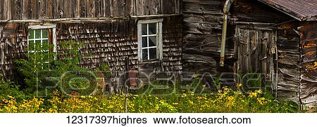 Stock Photograph - Old barn with colourful wildflowers; Knowlton, Quebec, Canada. Fotosearch