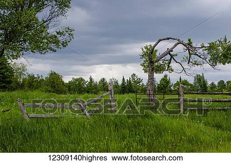 Stock Photograph - Old fence and rusty gate on cloudy grey day; Brome, Quebec, Canada. Fotosearch