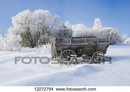 Picture - Old wagon with hoarfrost on trees near Oakbank; Manitoba, Canada. Fotosearch