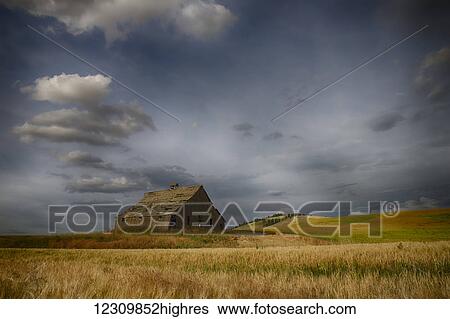 Stock Photograph - Old wooden barn in a wheat field under a cloudy sky; Palouse, Washington, United States of America. Fotosearch