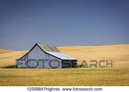 Stock Photograph - Old wooden barn in the middle of a grain field; Palouse, Washington, United States of America. Fotosearch